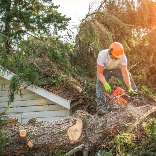 Proper Chainsaw Safety & Operation